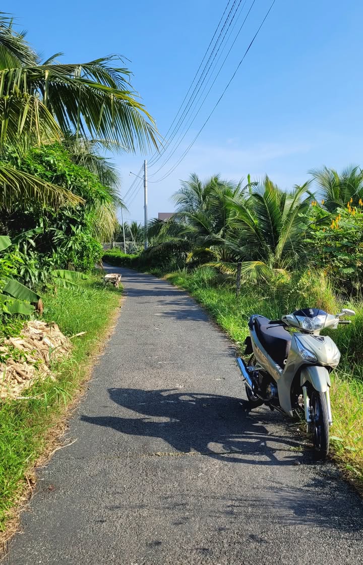 Đất nền An Lục Long, Châu Thành, Long An 1000m² - Giá 900 triệu, pháp lý rõ ràng!