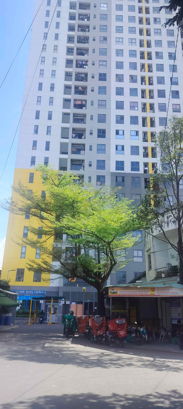 Đất thổ cư Dĩ An, Bình Dương 75m² giá 4 tỷ - Cơ hội đầu tư hấp dẫn!