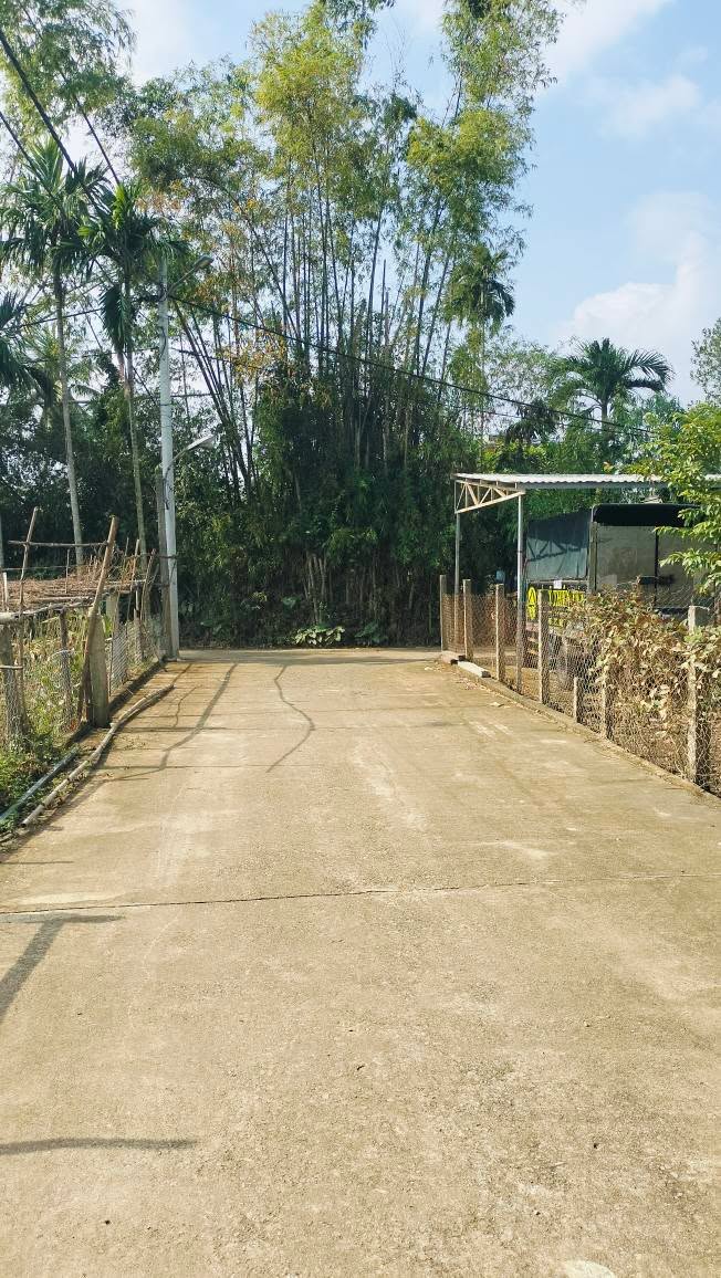 Đất kiệt ô tô Thôn Phong Nam, Hòa Xuân 210m² chỉ 2.75 tỷ - Nhiều tiện ích xung quanh!