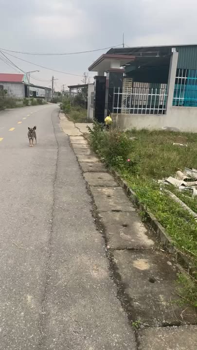 Đất nền Kỳ Thịnh, Hà Tĩnh 160m² giá 1.2 tỷ - Đầu tư sinh lời ngay!