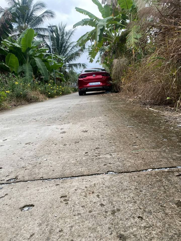 Đất vườn Sầu Riêng 2460m² xã Cái Nhum giá 7.3 tỷ - Bán gấp vì cần tiền!