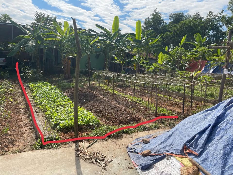 Đất thổ cư 91m² Phường Bách Quang, Sông Công chỉ 500 triệu - Cơ hội đầu tư tuyệt vời!