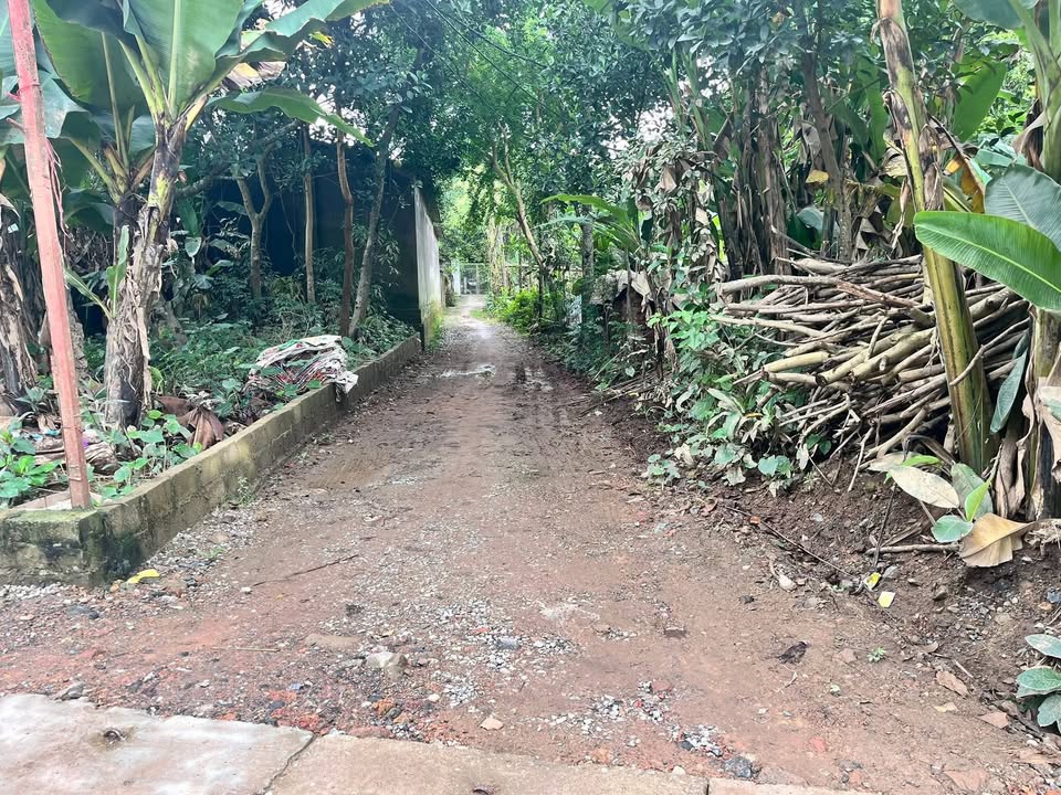 Đất nền Tân Long Thái Nguyên 118.8m² giá 1.2 tỷ - Cách trường cấp 1 chỉ 100m!