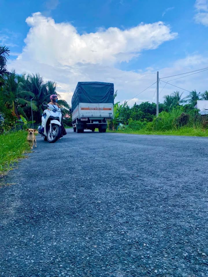 Đất nền 223m² mặt tiền Tỉnh Lộ 907 - Bán gấp chỉ 450 triệu!