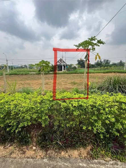 Biệt thự 2 mặt tiền tại Xuân Phú 250m² - Vị trí đắc địa, tiện ích đầy đủ!