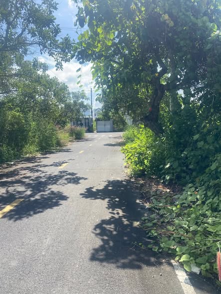 Đất nền đường Nguyễn Thị Bông, phường 7, Bạc Liêu 94m² giá 950 triệu - Hướng Nam, thổ cư 100%!