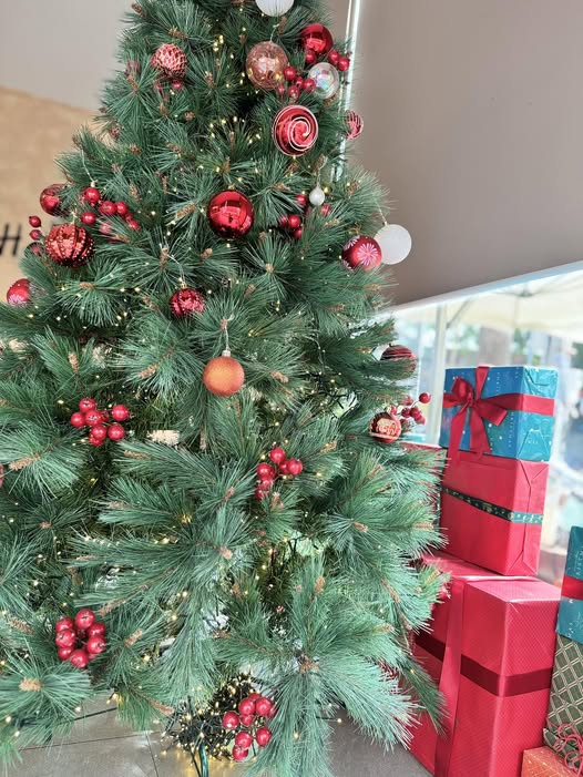 Đất mặt tiền đường nhựa Hòa Long, 500m² giá 5 tỷ - Đầu tư sinh lời!