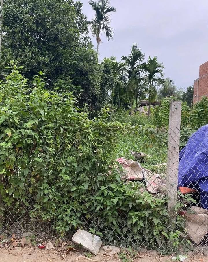 Đất nền Nghĩa Giang 100m² giá 650 triệu - Sổ đỏ chính chủ, pháp lý đầy đủ!