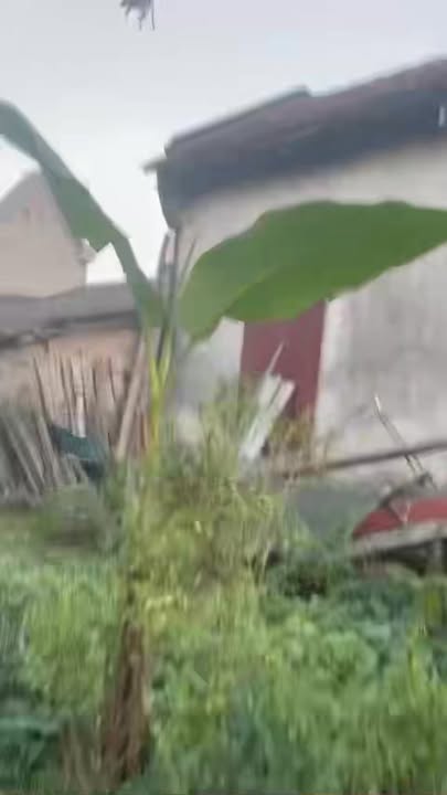 Đất nền Hồng Vân Thường Tín 60m² giá 3 tỷ - Vị trí đắc địa, sổ đỏ chính chủ!