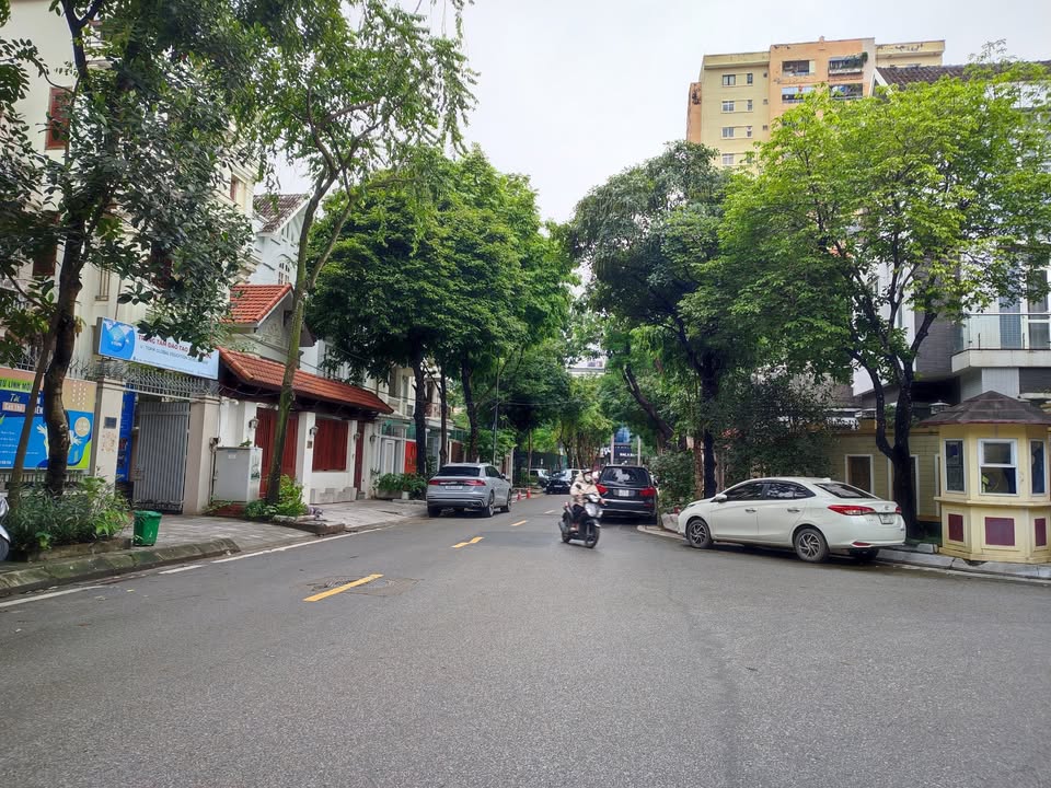 Biệt thự cho thuê mặt phố Lưu Hữu Phước, Nam Từ Liêm - Diện tích 200m², giá thỏa thuận