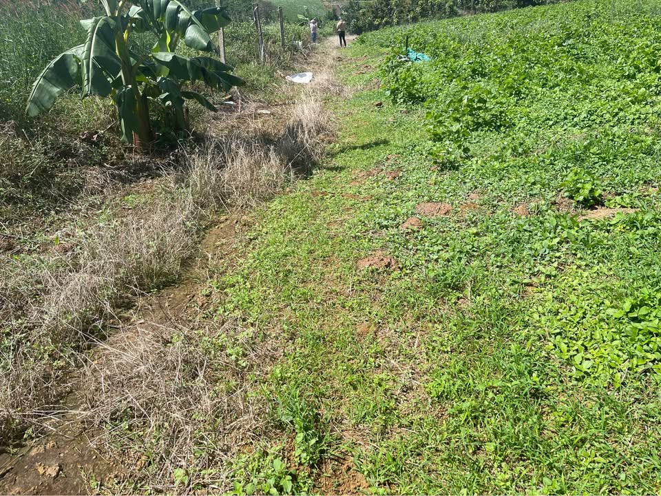 Đất nền Đạ M'ri 3600m² giá 800 triệu - Khu dân cư an ninh!