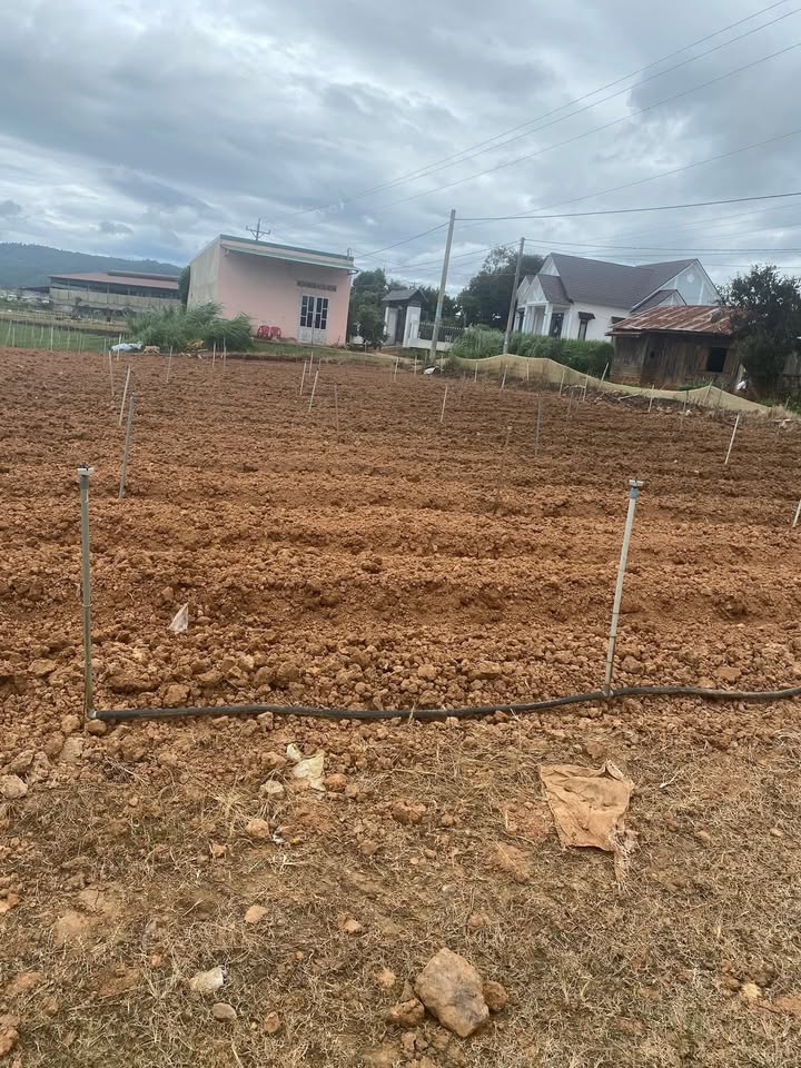 Đất nền 1ha tại Tu Tra, Đơn Dương - Giá chỉ 7.5 tỷ, cơ hội đầu tư sinh lời!