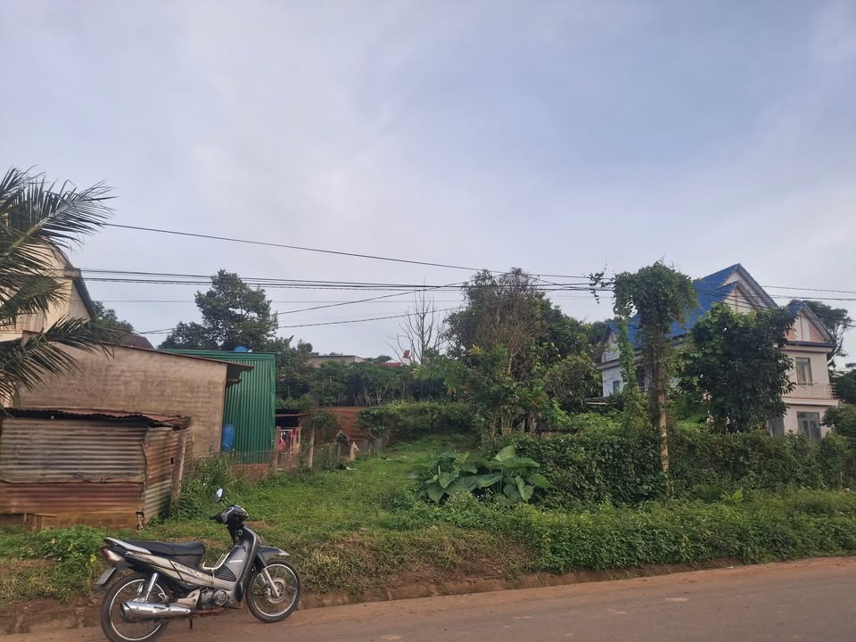 Đất nền Hòa Bắc 6m² giá 1.2 tỷ - Mặt tiền đường nhựa chính!