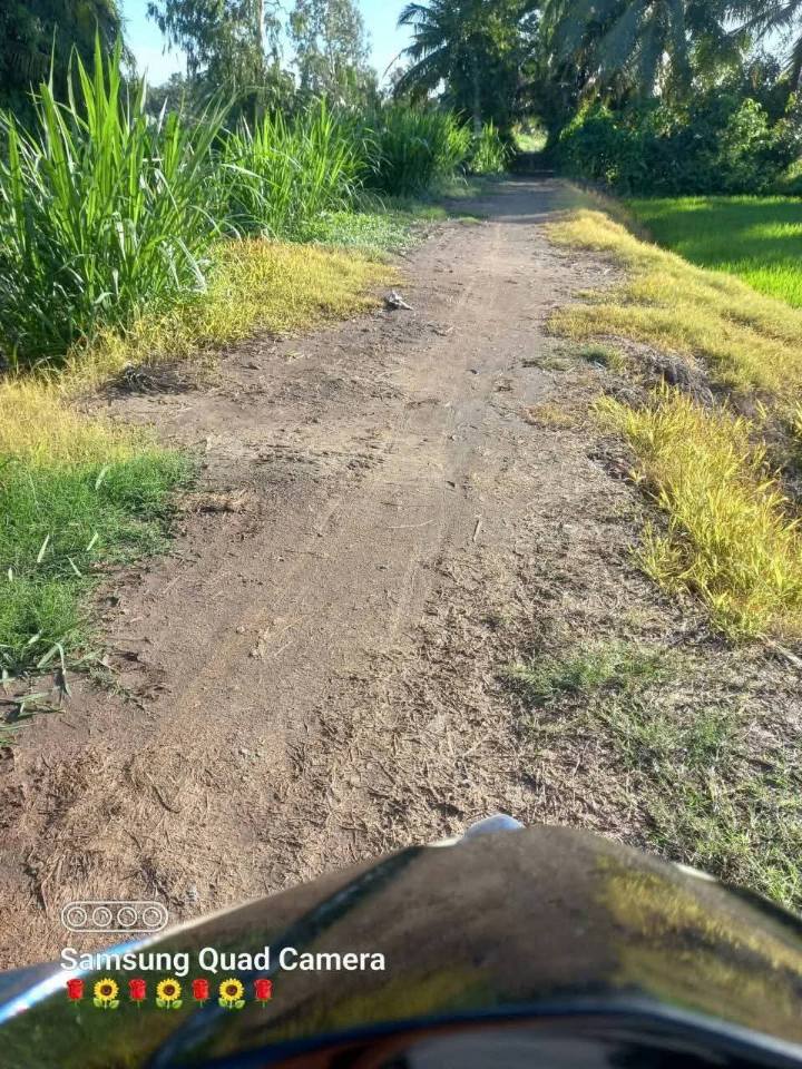 Đất nền Phước Hưng Trà Cú 7675m² giá chỉ 135 triệu - Cơ hội đầu tư hấp dẫn!