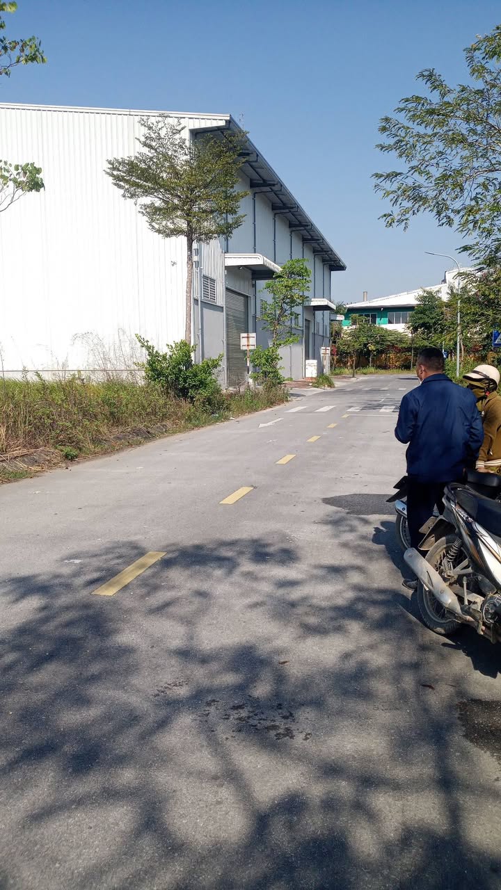 Đất nền KDT Số 3 Thị Trấn Thắng 95m² chỉ 2,2 tỷ - Tiện ích đầy đủ