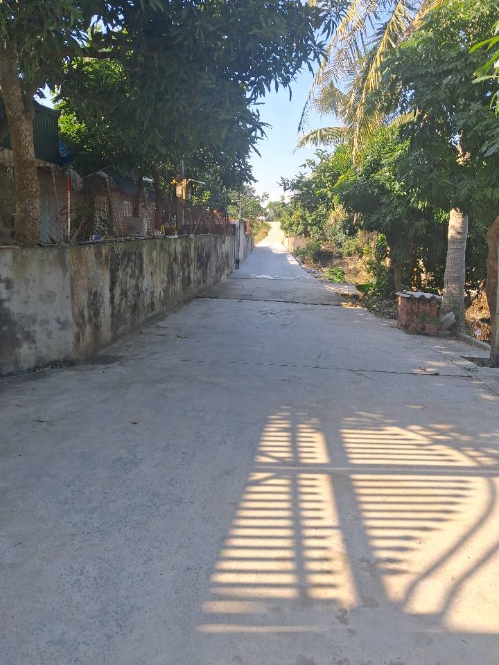 Vườn chuyển đổi Hồng Lạc Thanh Hà 1440m² giá 1 tỷ - Đầu tư sinh lời lý tưởng!