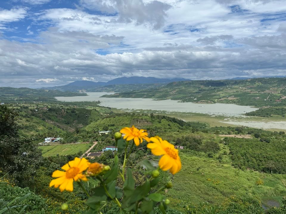 Đất nghỉ dưỡng Tân Nghĩa, Di Linh 4ha giá thỏa thuận - Nơi an yên giữa thiên nhiên!
