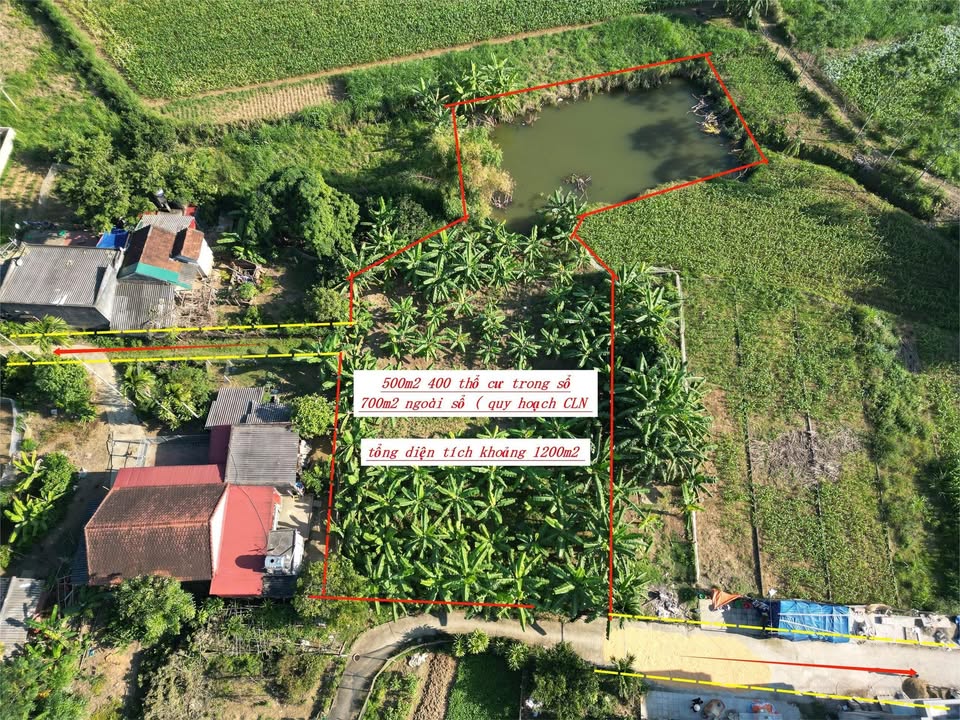 Đất nền Sơn Hùng Thanh Sơn 500m² - Đầu tư sinh lời cao!