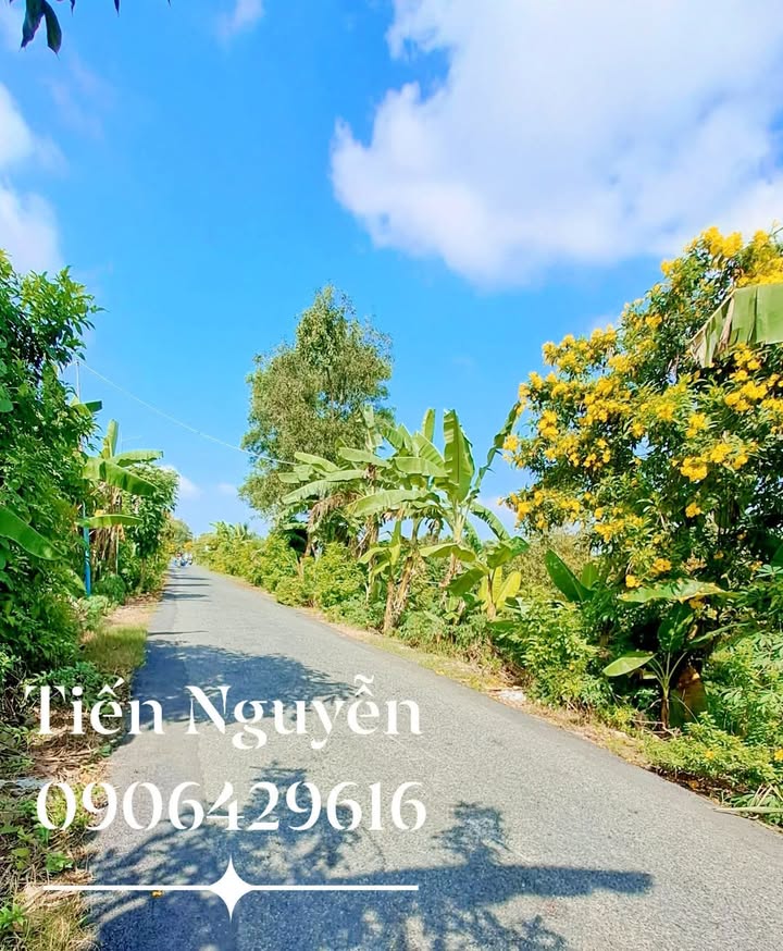 Nhà vườn nghỉ dưỡng Trường Thắng, Thới Lai 4221m² giá 2.5 tỷ - Cơ hội đầu tư tuyệt vời!