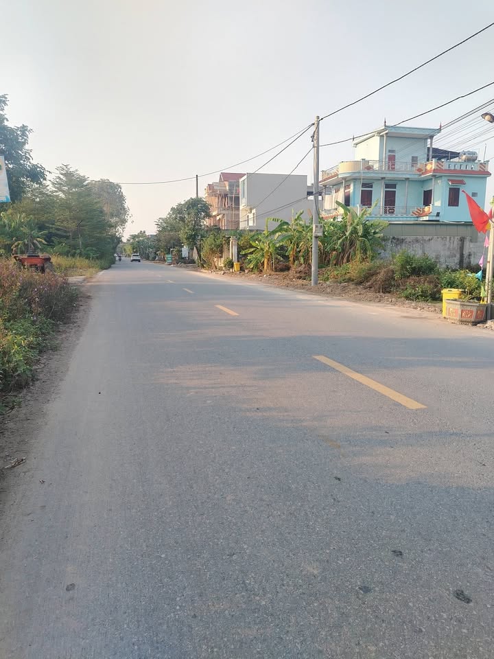 Bán đất mặt đường ĐH thôn Hòa Bình, xã Tam Quang 98m² - Đầu tư sinh lời ngay!