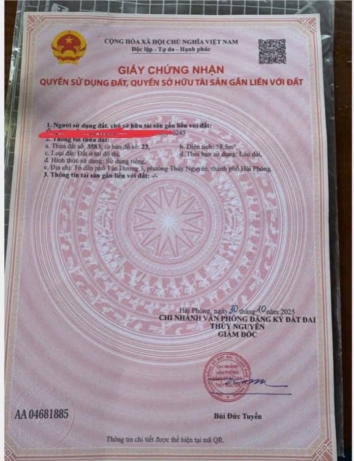 Đất nền Tân Dương, Thủy Nguyên 58.5m² - Vị trí đắc địa gần trung tâm!