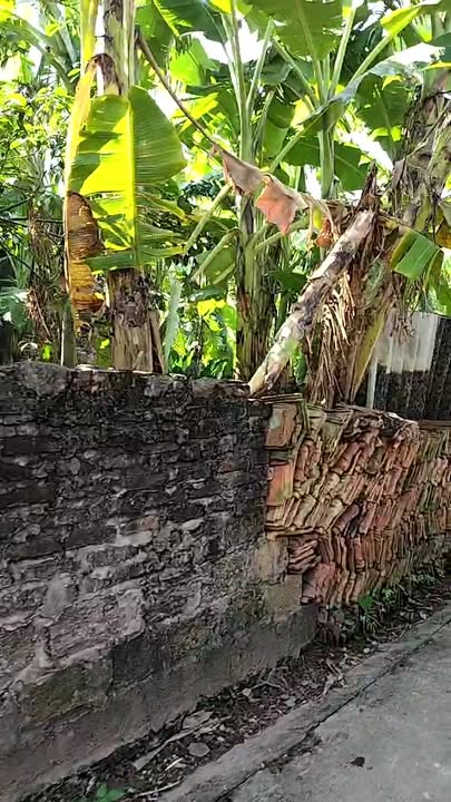 Đất nền lô góc 254m² xã Đông Ninh, huyện Khoái Châu - Mặt tiền rộng, cơ hội đầu tư hiếm có!