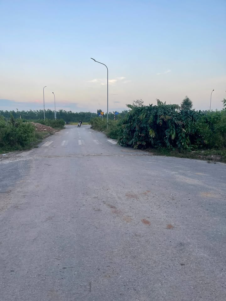 Đất đấu giá góc TDP Sòi, Đồng Sơn, Bắc Giang 112m² - Cơ hội đầu tư tuyệt vời!