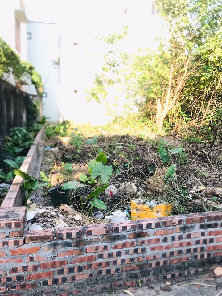 Đất nền Uy Nỗ, Đông Anh 74m² giá thỏa thuận - Sổ đỏ chính chủ, vị trí đắc địa!