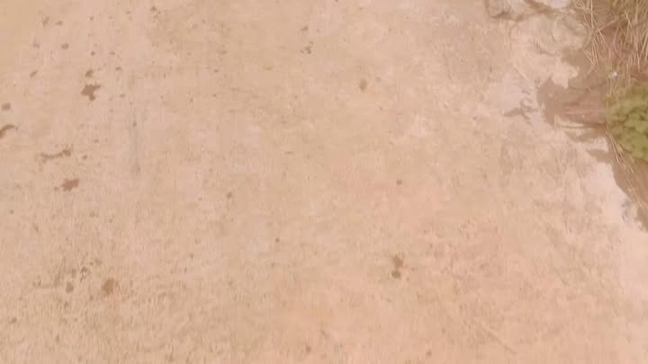 Đất nền xã Kon Chiêng 1.2ha giá 950 triệu - Cơ hội đầu tư tuyệt vời!