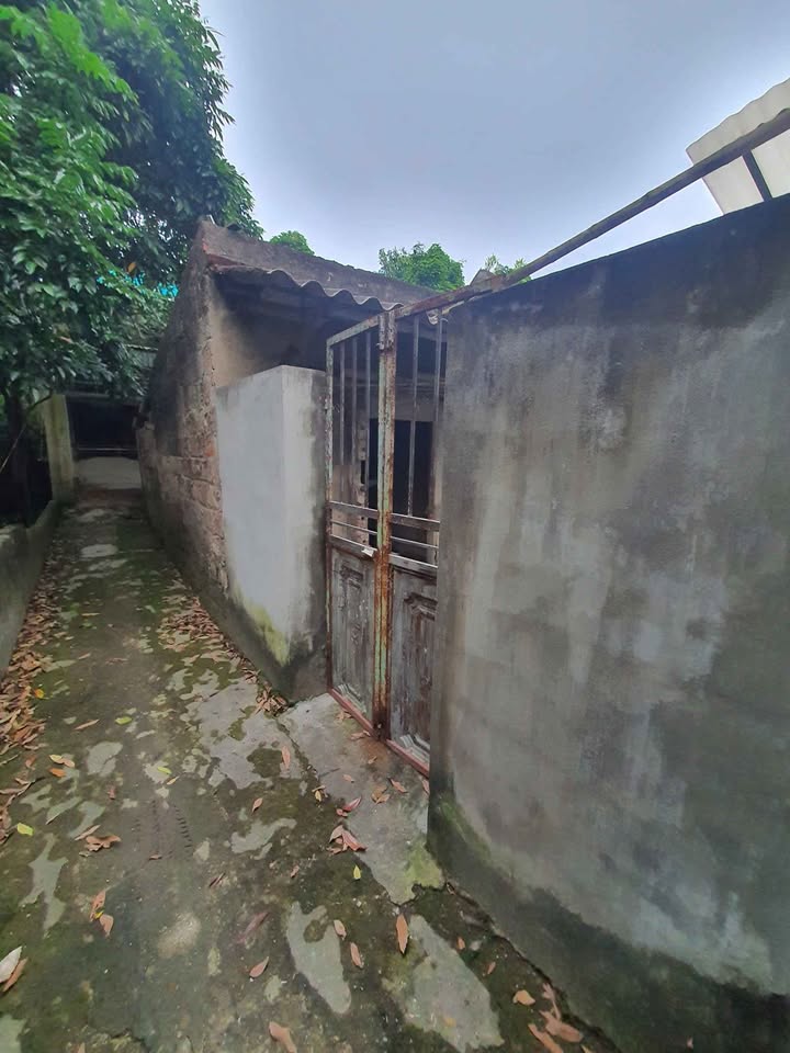 Đất thổ cư Lộng Đồng Nam Định 130m² giá 1.82 tỷ - Tiềm năng đầu tư vượt trội!