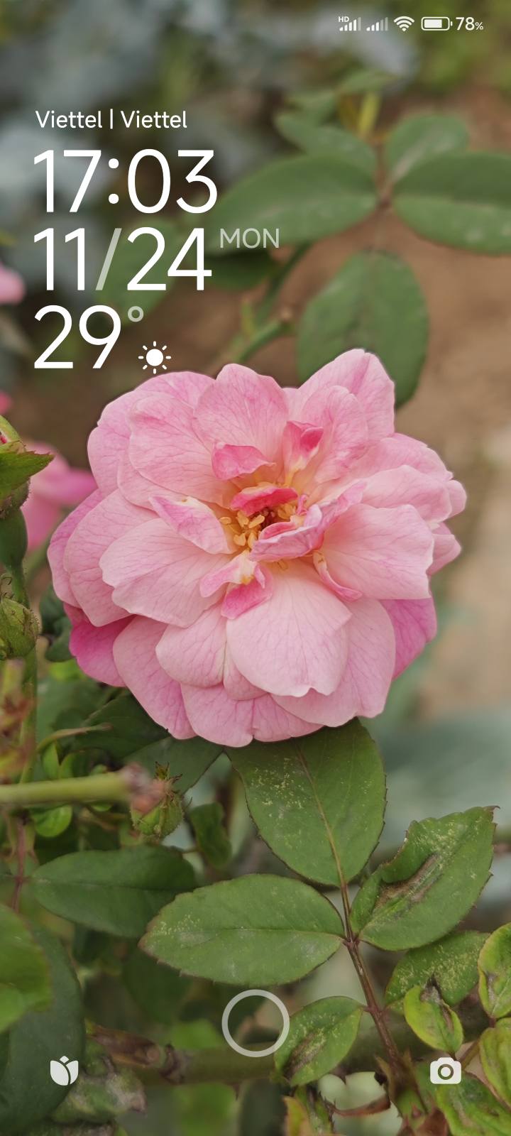 Đất nền Đồng Thái An Dương 61,5m² giá 1,3 tỷ - Đầu tư sinh lời ngay!