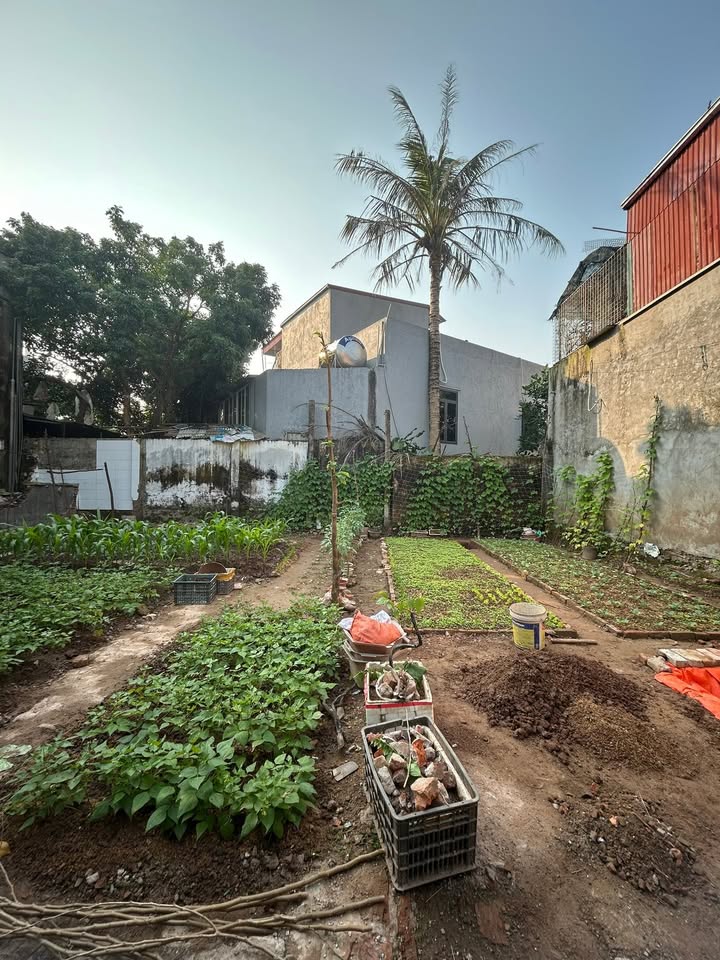 Đất nền Hòa Mạc, Duy Tiên 80m² - Vị trí đẹp, cơ hội đầu tư hấp dẫn!