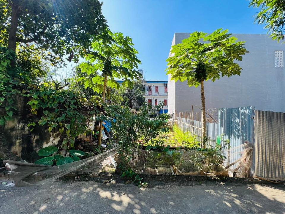 Đất thổ cư Phú Xá Thái Nguyên 96.5m² giá 1 tỷ - Đầu tư sinh lời ngay cổng Đại học!