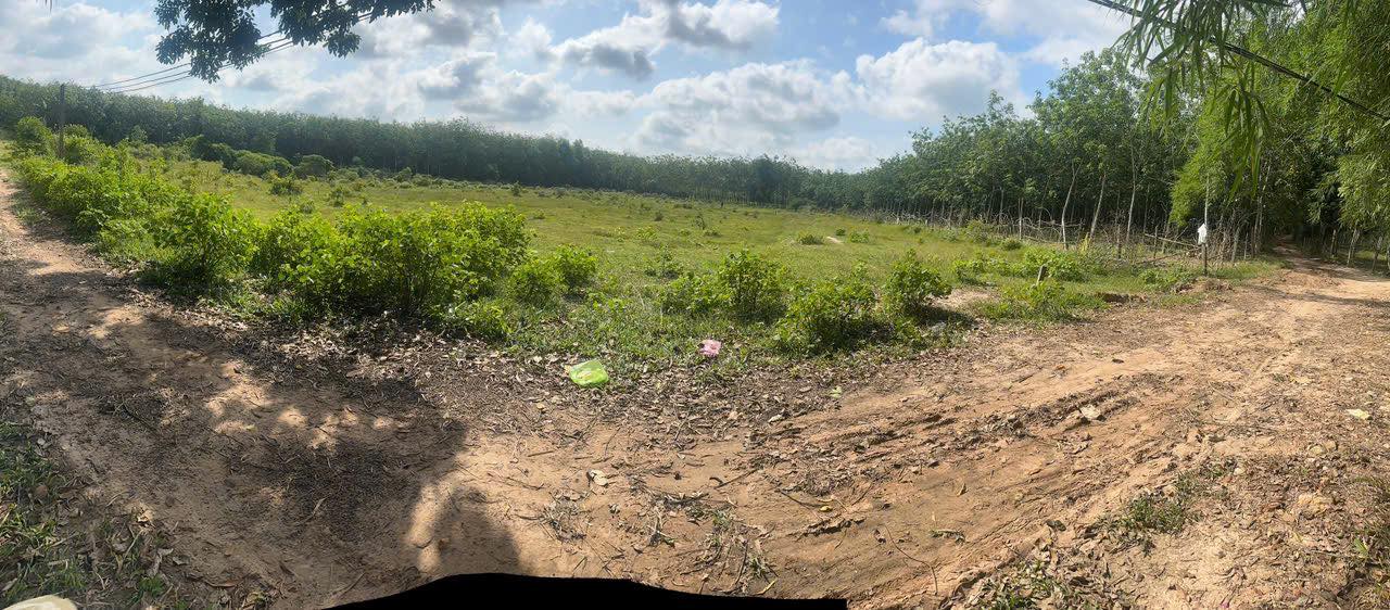 Đất nền Dầu Tiếng 5000m² giá 1.95 tỷ - Cơ hội đầu tư hấp dẫn!