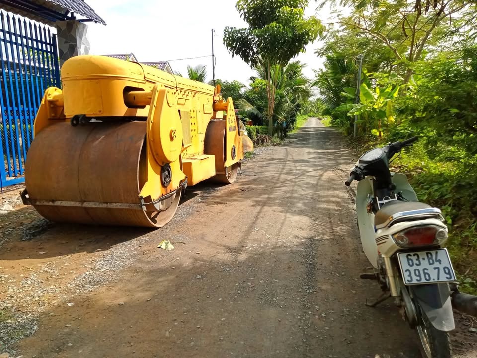 Đất vườn Ấp Hòa Phú, Bình Ninh 1200m² giá 1.25 tỷ - Đầu tư lý tưởng!