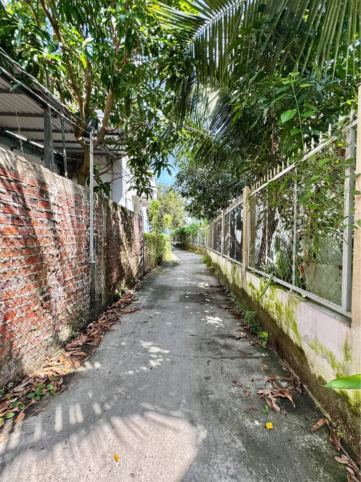 Đất nền Phường Đạo Thạnh, Mỹ Tho 162m² - Gần lộ nhựa, giá tốt thương lượng!