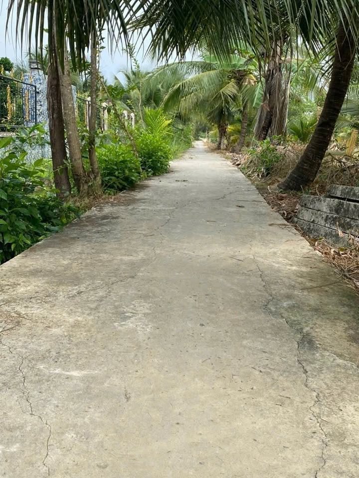 Đất nền Trung An, Mỹ Tho, 68m² giá chỉ 300 triệu - Đầu tư sinh lời ngay!