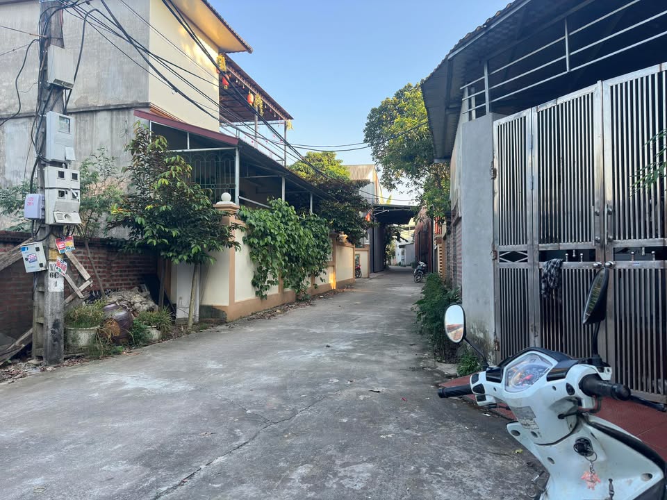 Đất vườn 300m² tại xóm Hòa Bình, xã Cần Kiệm - Cơ hội đầu tư tuyệt vời!