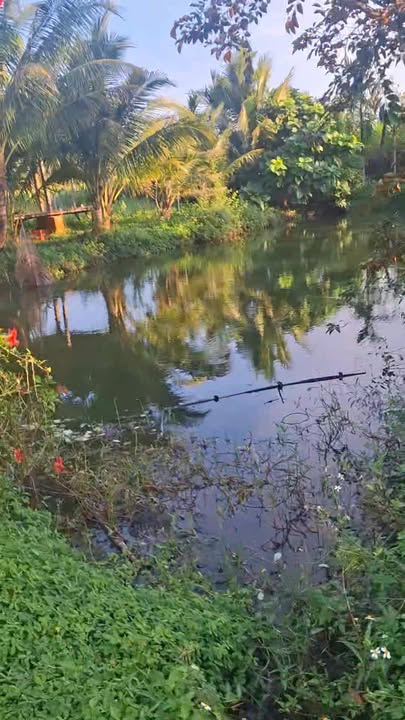 Đất biệt thự nhà vườn Ea Pôk 5400m² giá 3,2 tỷ - Cơ hội đầu tư hấp dẫn!