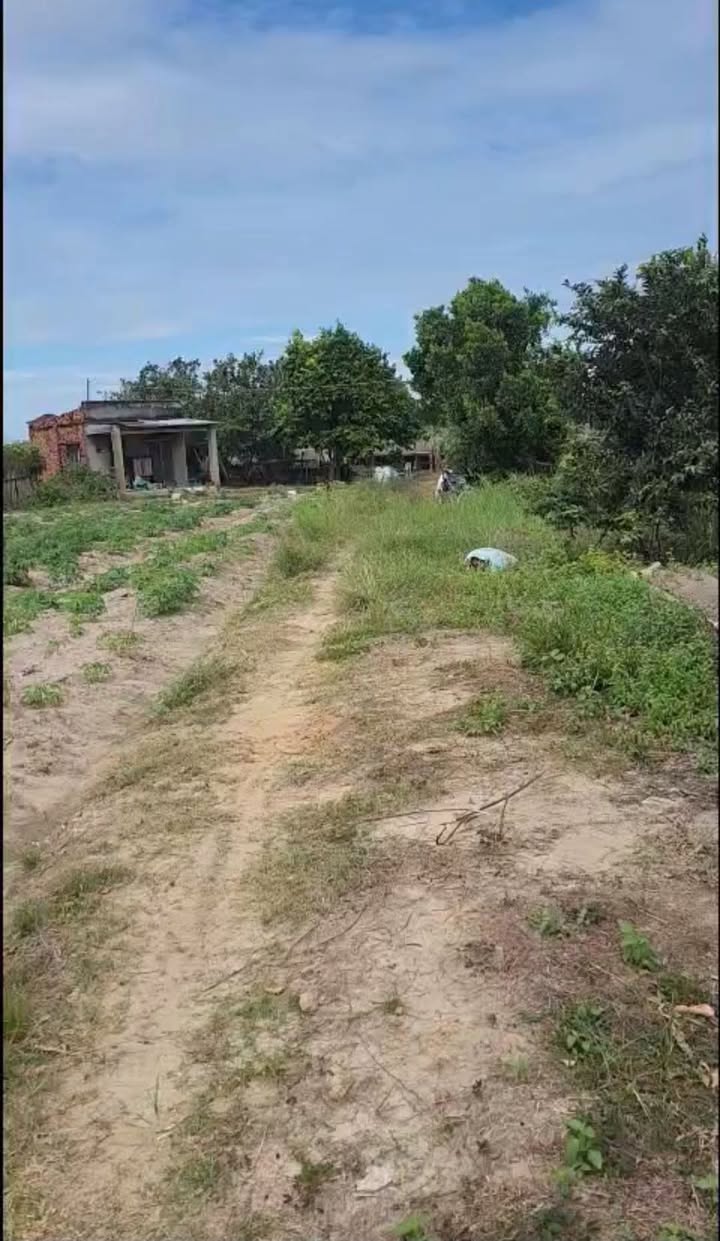 Đất nền ấp Thạnh Nghĩa, xã Thạnh Đông 15.000m² giá 1.6 tỷ - Cơ hội đầu tư tuyệt vời!