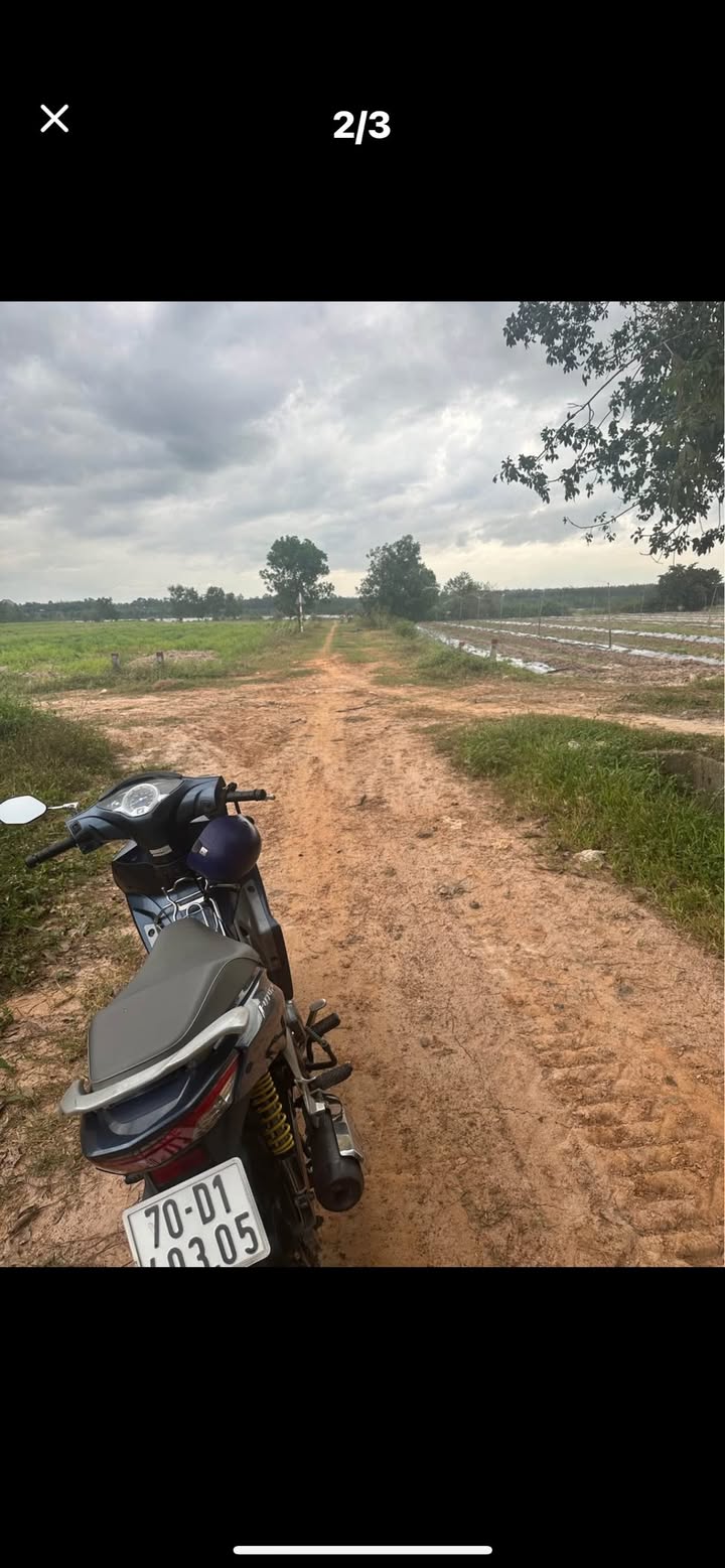 Đất cho thuê tại xã Thành Long, huyện Châu Thành 90,000m² - Giá thuê 180 triệu/năm!