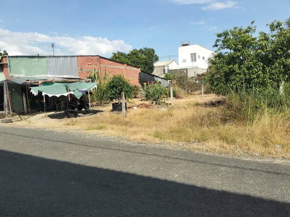 Đất Nền Mặt Đường Nhựa Ninh Thạnh Tây Ninh 260m² giá 230 triệu - Đầu tư sinh lời ngay!