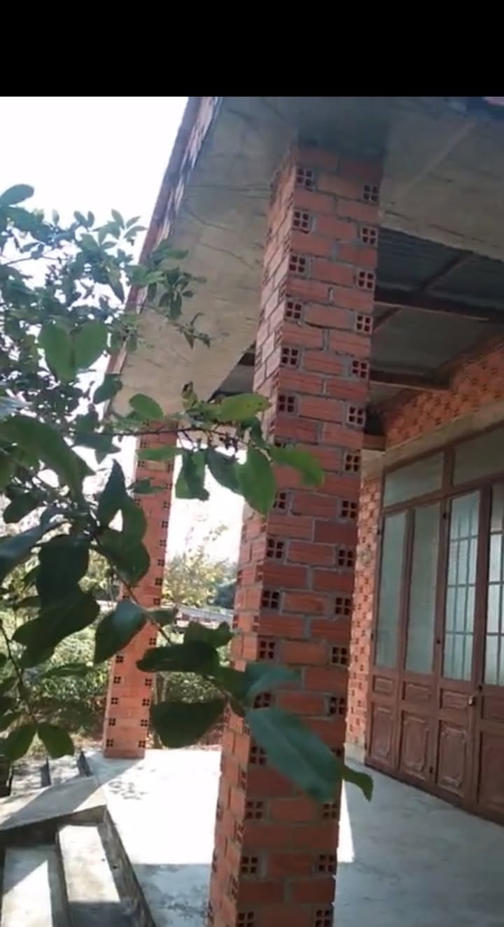 Nhà cấp 4 304m² tại Tân Phú, Tân Châu - Giá chỉ 320 triệu, cơ hội đầu tư lý tưởng!