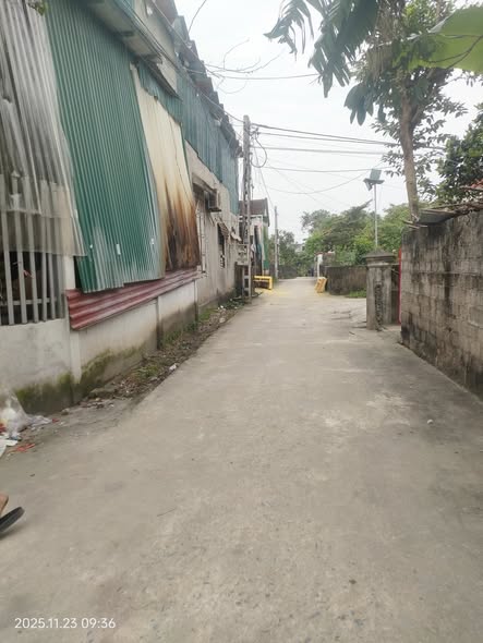 Đất nền 150m² tại Đà Sơn, Đô Lương - Giá rẻ, vị trí đắc địa gần trường mầm non