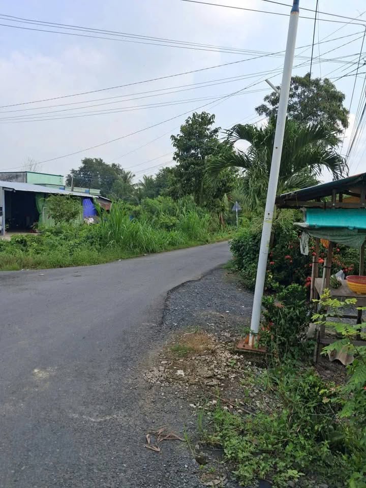 Đất nền Ấp Bình Khánh, Gò Công Tây 179m² giá chỉ 300 triệu - Cơ hội vàng đầu tư!