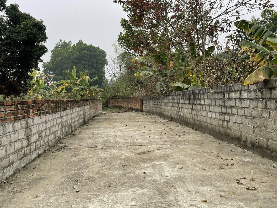 Đất nền Trại Hồ, Cổ Đông 1.300m² giá 15.6 tỷ - Đường ô tô vào tận nơi!