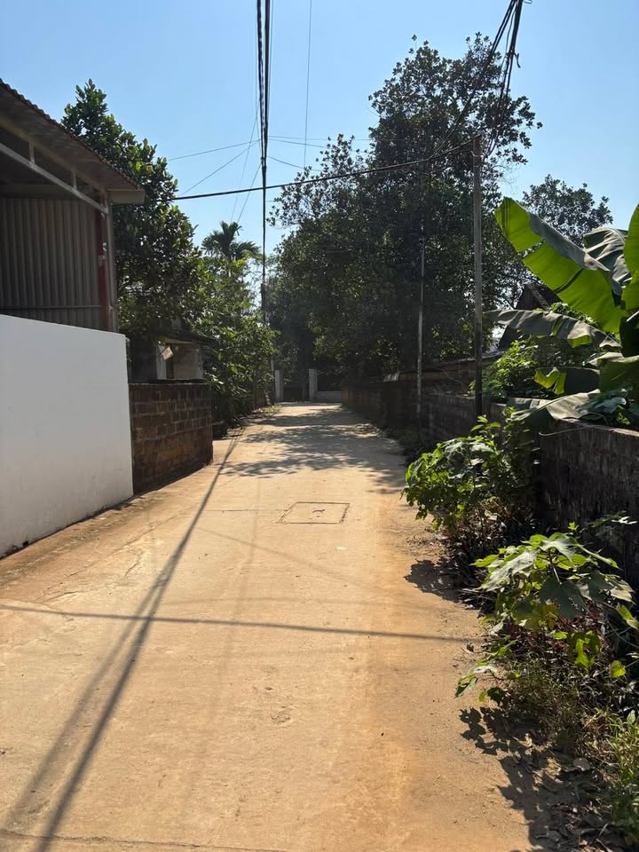 Đất thổ cư 500m² tại Bình Yên, Thạch Thất - Giá chỉ 15 triệu/m²!