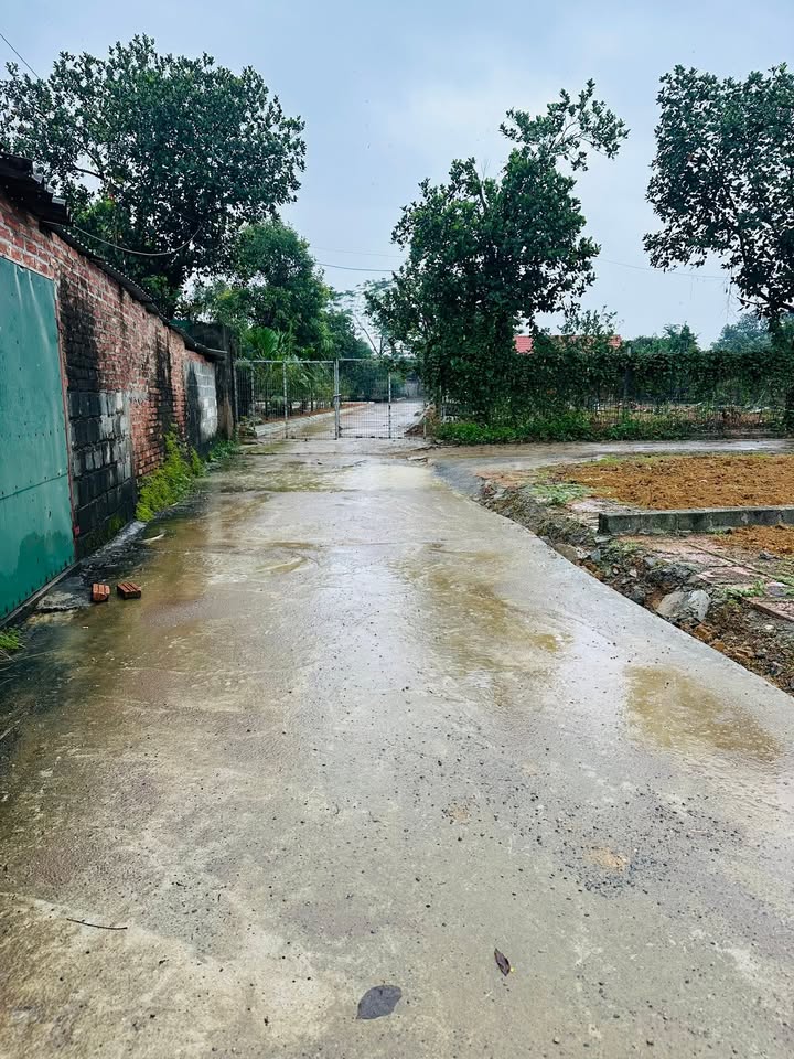 Đất thổ cư 100m² tại thôn Hòa Trúc, Thạch Thất chỉ 2.6 tỷ - Cơ hội đầu tư tuyệt vời!