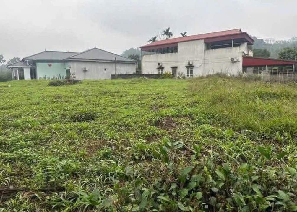 Đất nền 2 mặt tiền Ngô Minh Lan, 387m² giá 2 tỷ - Đầu tư sinh lời ngay!