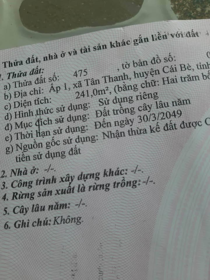 Đất nền Tân Thanh Cái Bè 256m² giá thỏa thuận - Đầu tư sinh lời ngay!
